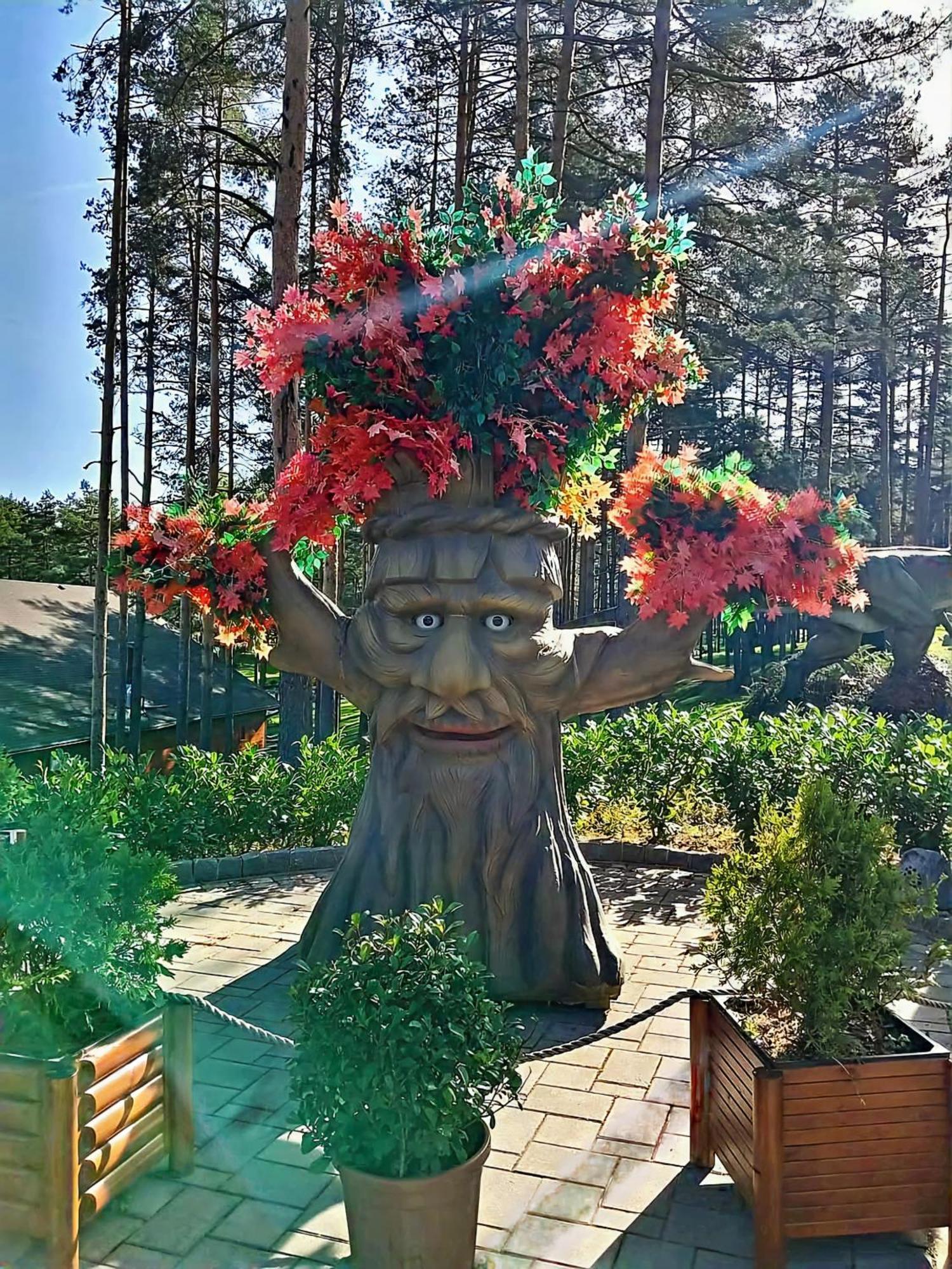 Silver Star Zlatibor Eksteriør billede