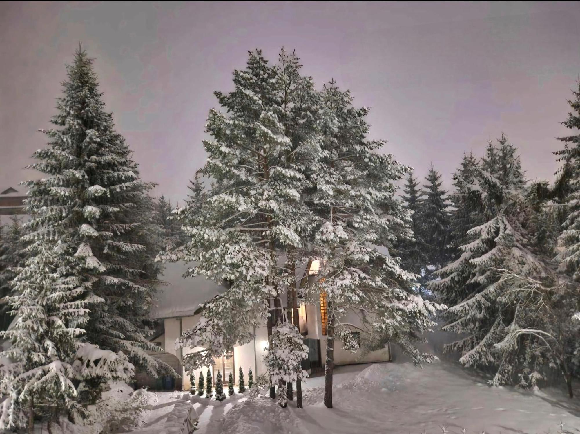 Silver Star Zlatibor Eksteriør billede